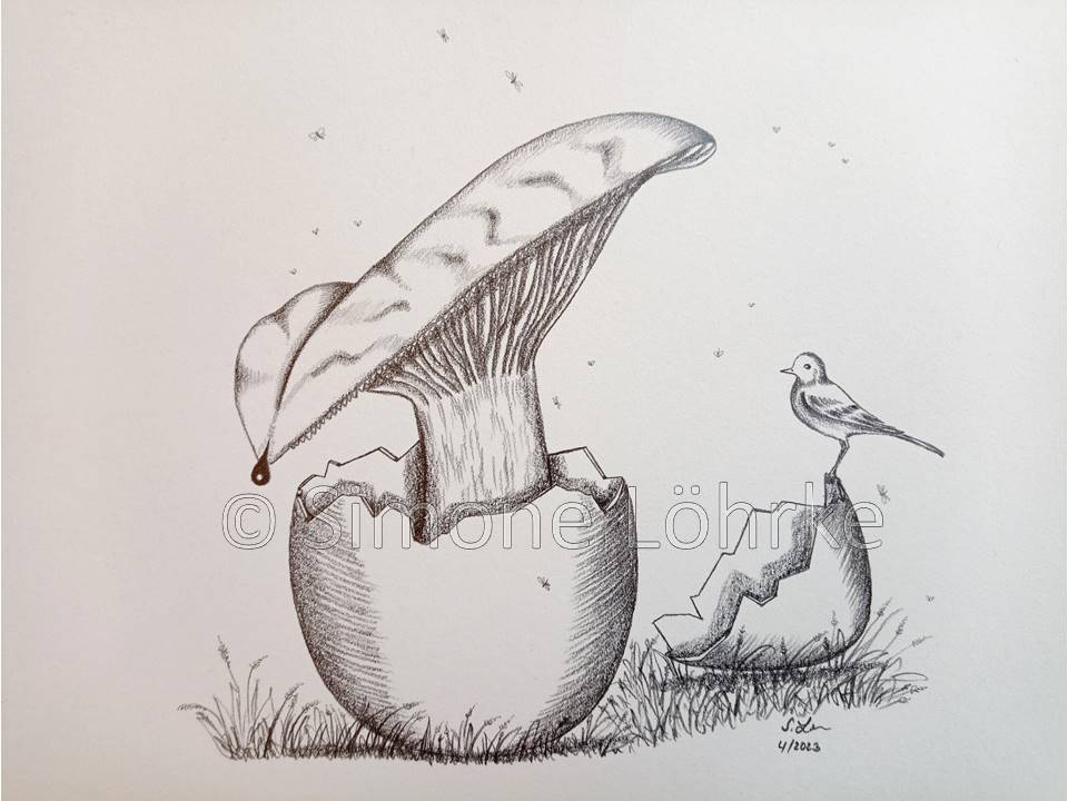 Pilz im Ei